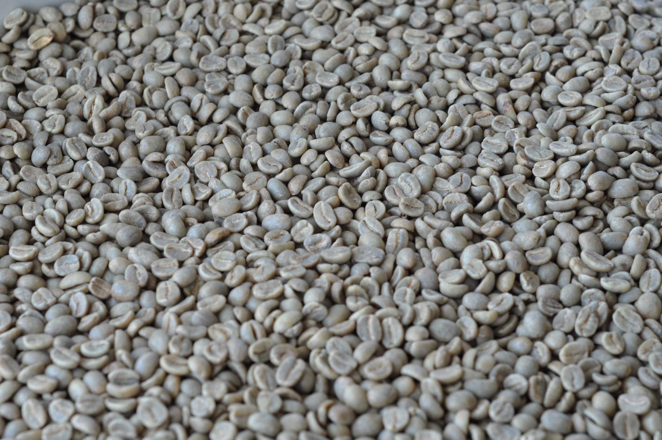 Boabe de Cafea Verde