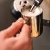 delonghi frothed milk ready to pour Curs de Espresso - Inveti la Prajitorie pe Echipamentul tau